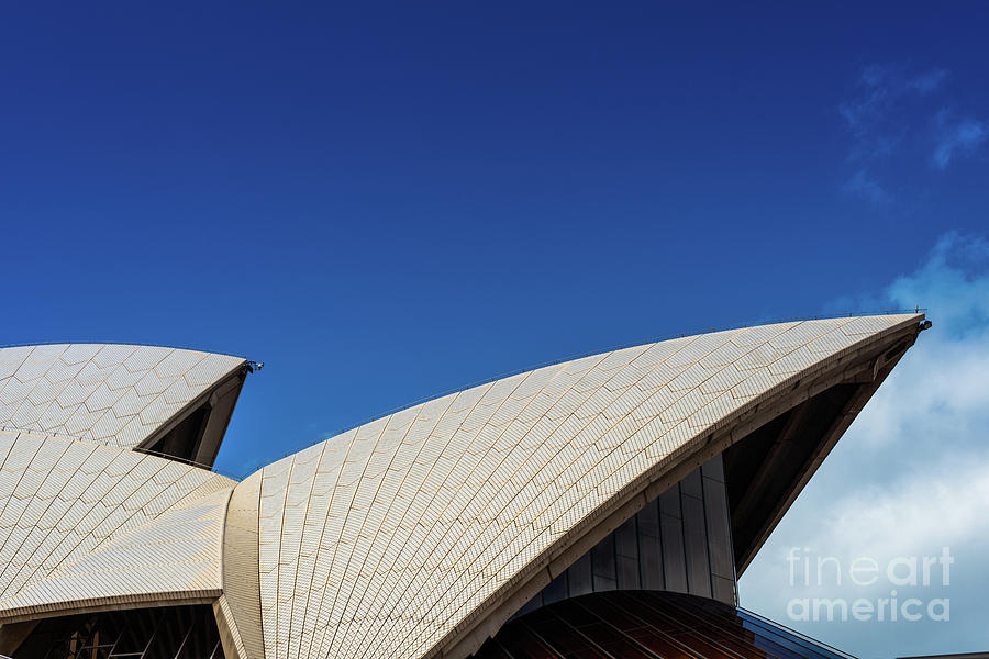 Sydney Opera house, close up detail Photograph by Andrew Michael