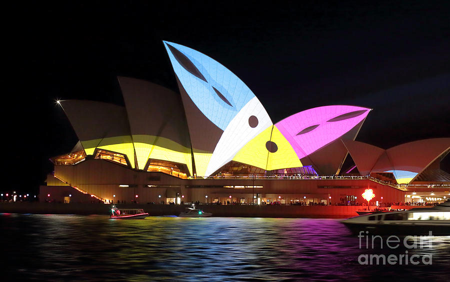 Sydney Opera House During Vivid Sydney With Toucans Photograph