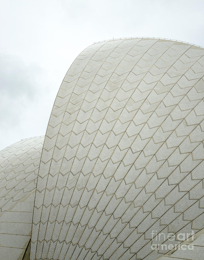 Sydney Opera House Sails 2 Photograph by Angela DeFrias