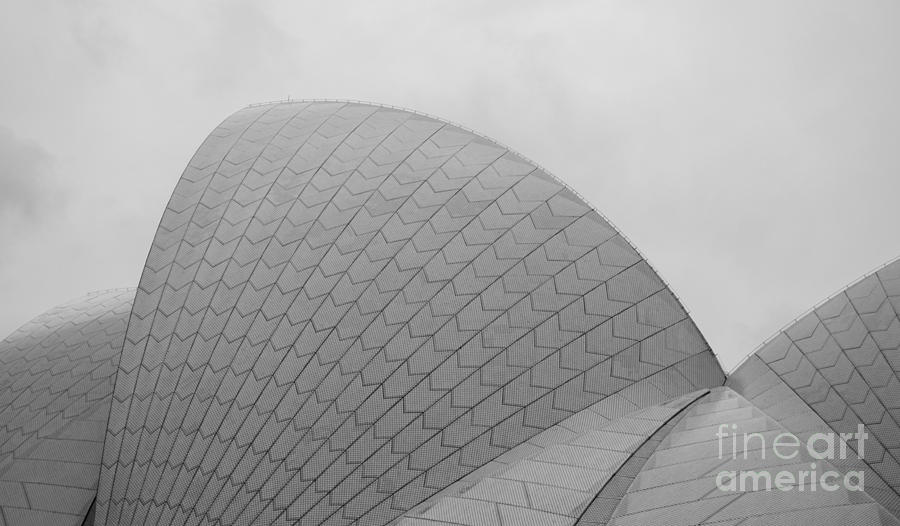 Sydney Opera House Sails Photograph by Angela DeFrias