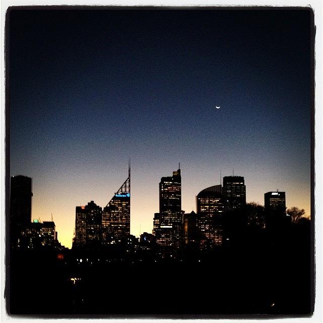 Sydney Sunset Photograph by Alexis Fleisig