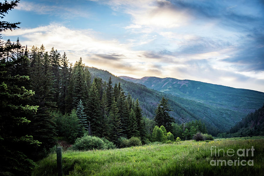 Sylvan Valley