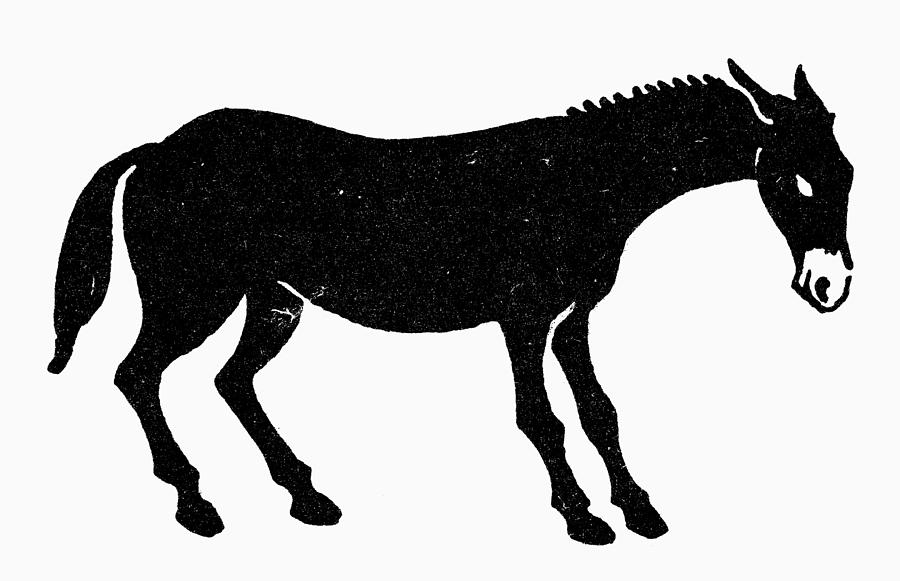 Symbol: Mule Photograph by Granger