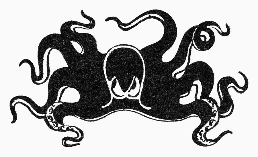 Symbol: Octopus Photograph by Granger