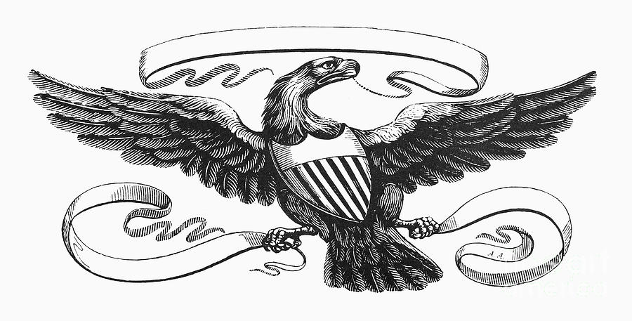 Symbols: American Eagle Photograph by Granger