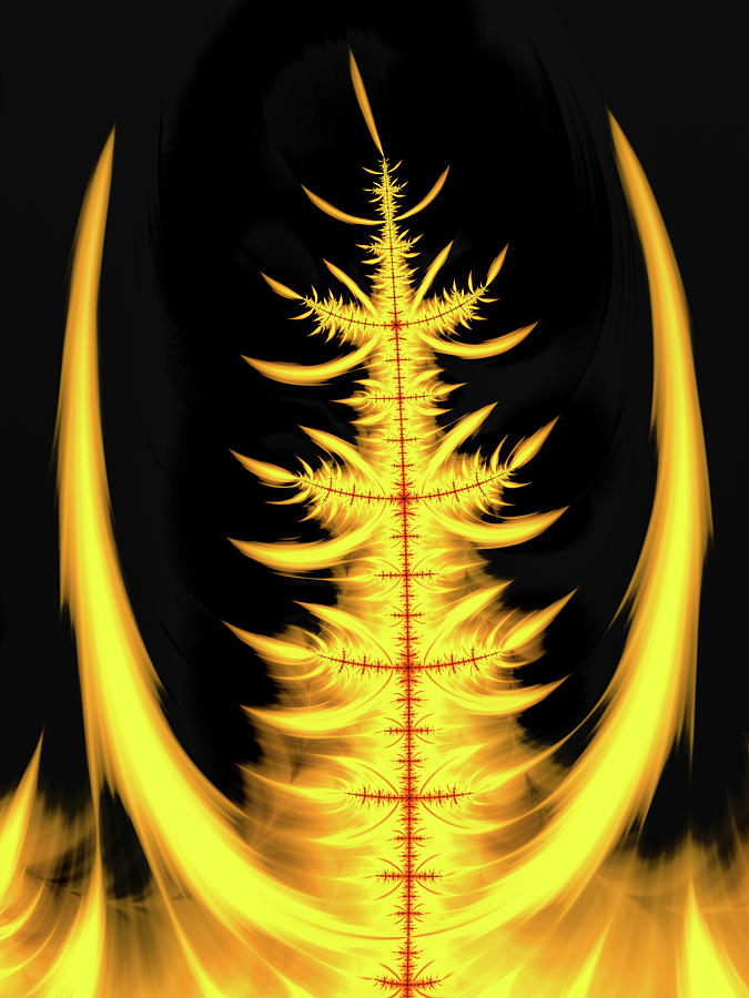 Symmetric yellow and orange fractal flames Digital Art by Matthias Hauser