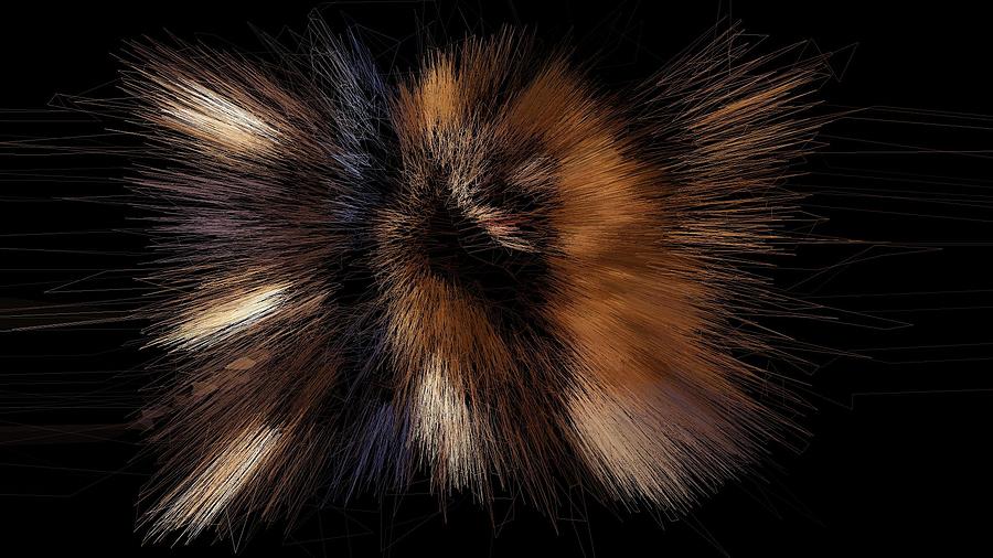 Symmetrical Earth Flower Digital Art by Stephane Poirier