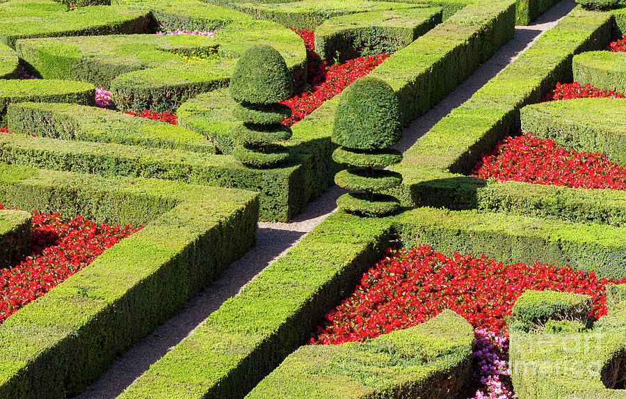Symmetrical Landscaped Garden Photograph by Heiko Koehrer-Wagner
