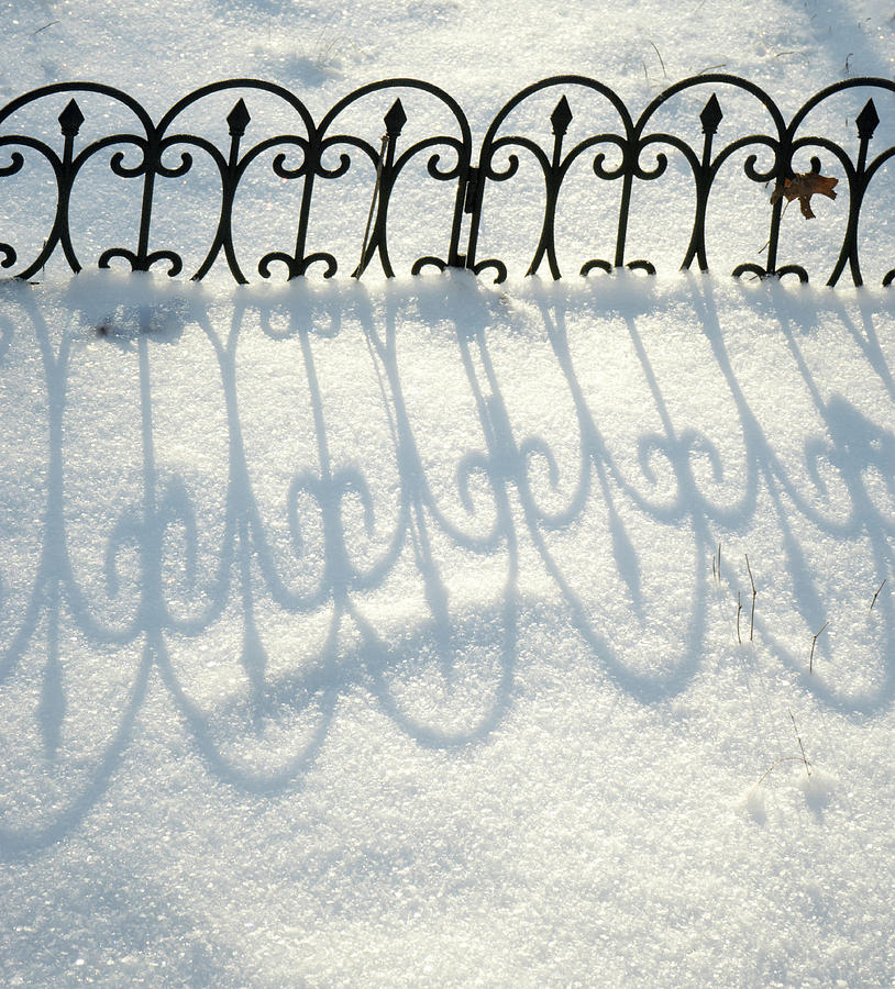 Symmetrical Shadows in the Snow Photograph by Douglas Barnett