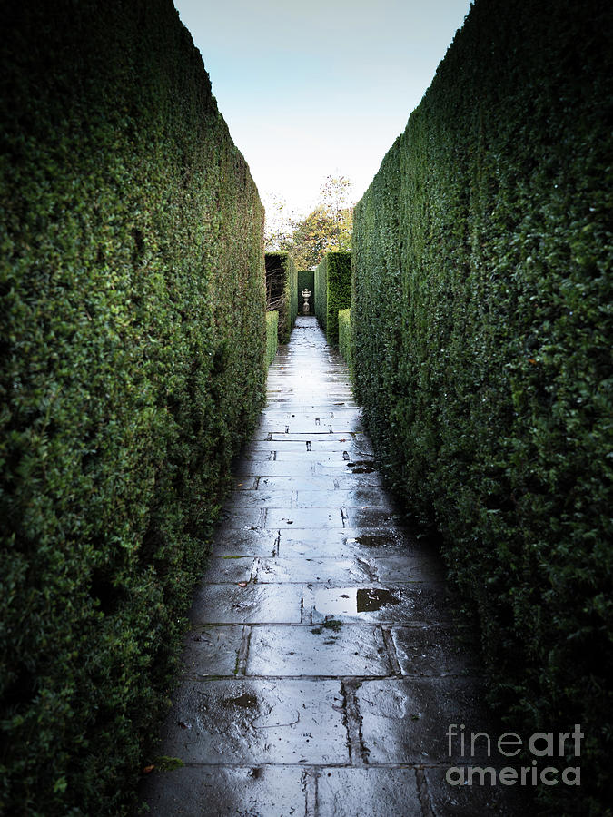 Symmetry at Sissinghurst Castle Garden Photograph by Perry Rodriguez
