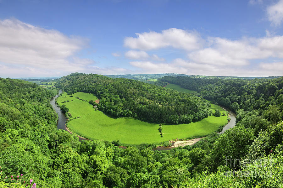 Summer Photograph - Symonds Yat, England by Colin and Linda McKie
