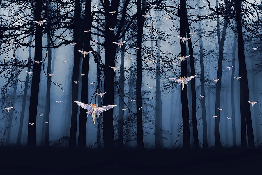 Synchronous Fairies Fly Digital Art by John Haldane