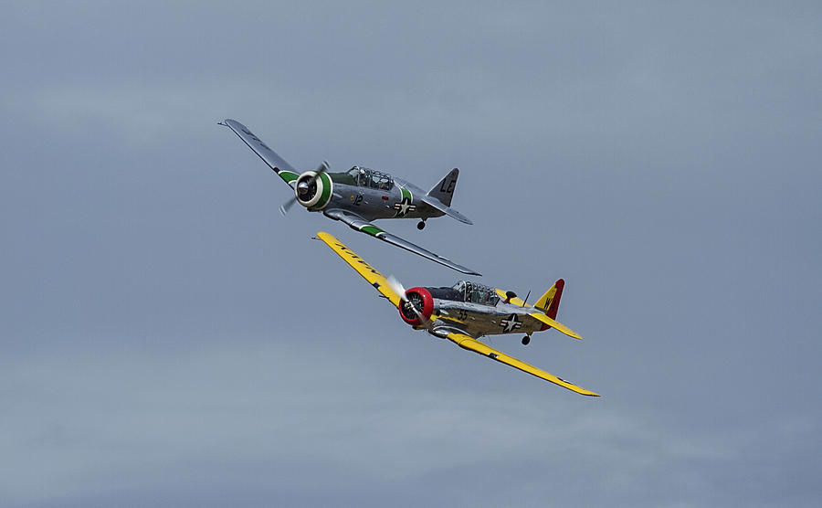 T-6 trainers Photograph by Elvira Butler
