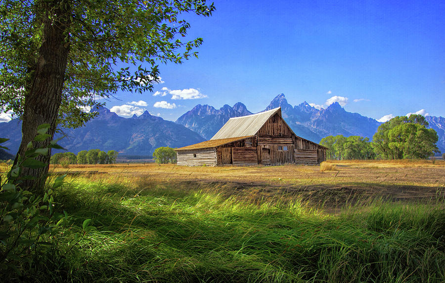 T. A. Moulton Barn in the Tetons Photograph by Carolyn Derstine