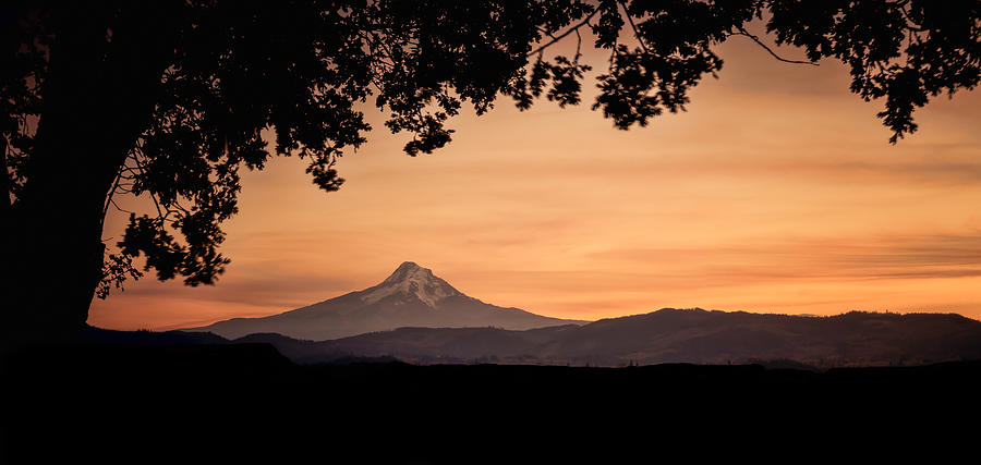 Mt. Hood at Sunset Photograph by Don Schwartz