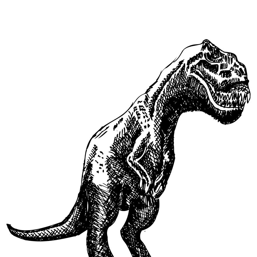 trex dinosaur drawingkarl addison