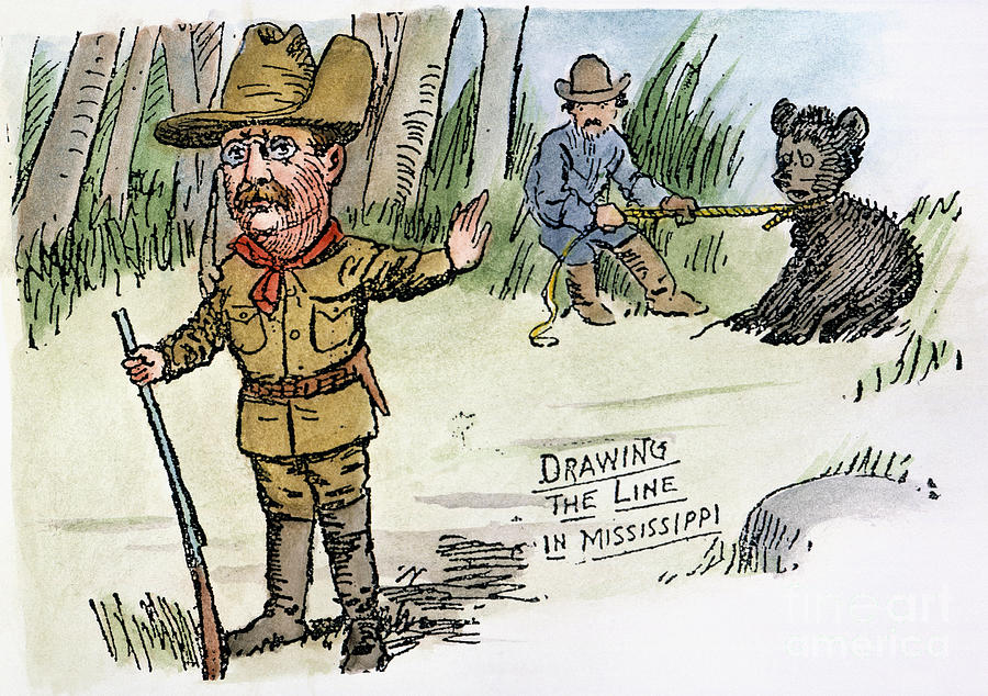 Teddy Bear Cartoon Drawing by Clifford Berryman