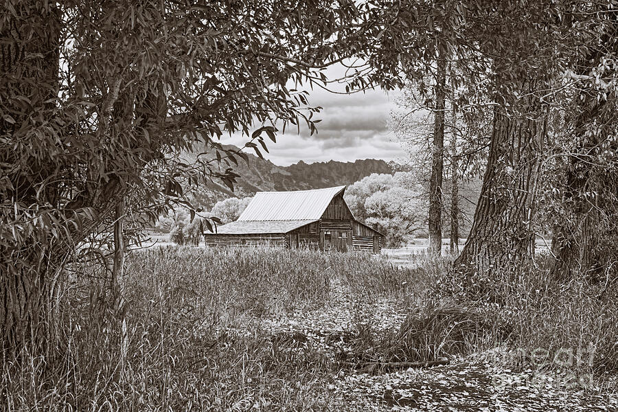 T.A. Moulton Barn Photograph by Priscilla Burgers