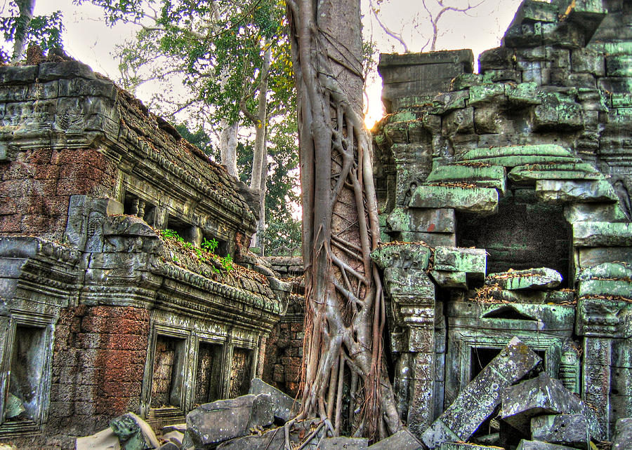 Angkor Photograph - Ta Phrom 3 by Doug Matthews