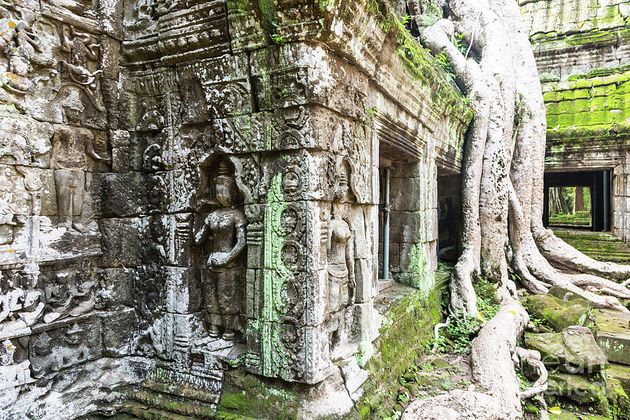 Ta Prohm temple in Angkor Photograph by Didier Marti