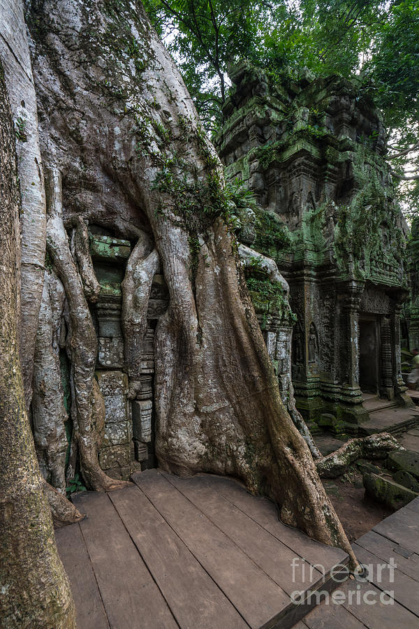 Cambodia Photograph - Ta Prohm The Jungle Reclaims by Mike Reid