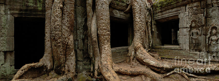 Ta Prohm Silence and I Photograph by Bob Christopher