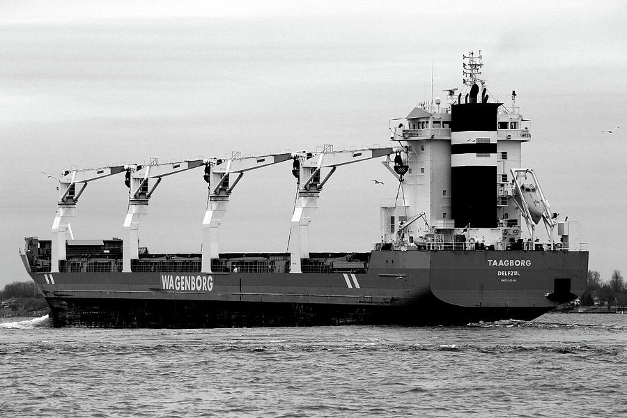 Taagborg 2 BW Photograph by Mary Bedy