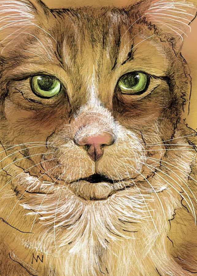 Tabby Cat Digital Art by AnneMarie Welsh