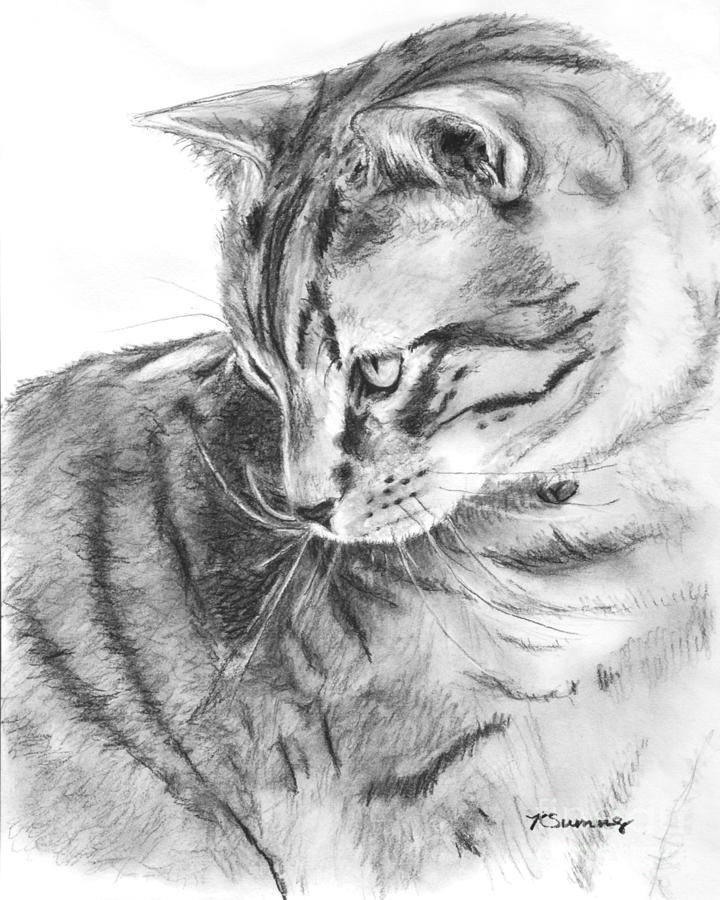 cat face profile illustration