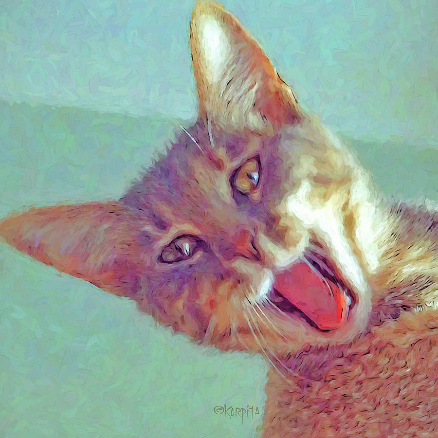 Tabby Cat - Oh Happy Day Photograph by Rebecca Korpita