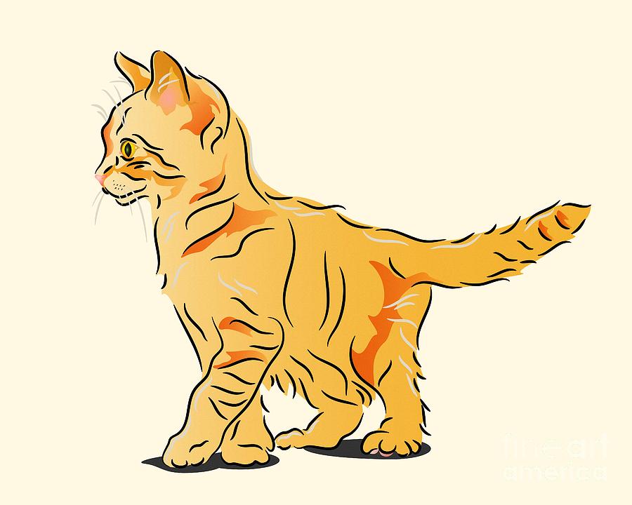 Tabby Kitten Digital Art by MM Anderson