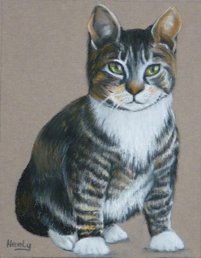 Tabby Pastel by Pat Neely | Fine Art America