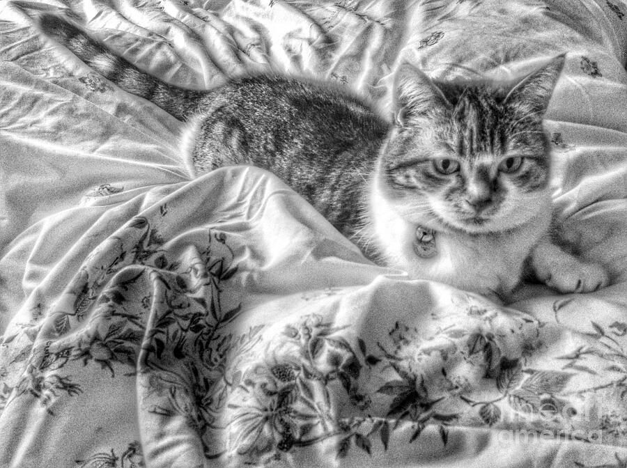 Tabitha in Greyscale 2 Photograph by Joan-Violet Stretch