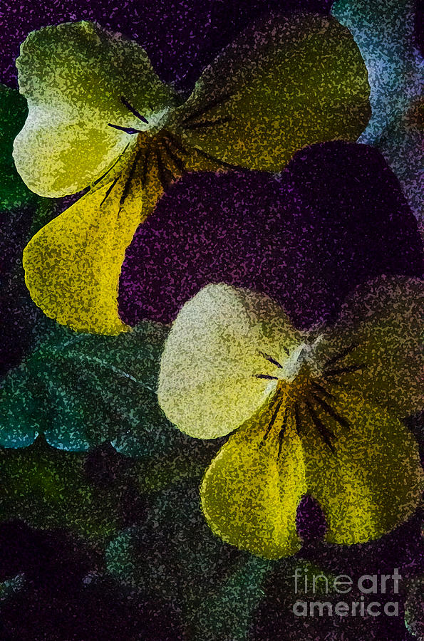 Flower Photograph - Table Top Flowers #1 by Eric Geschwindner