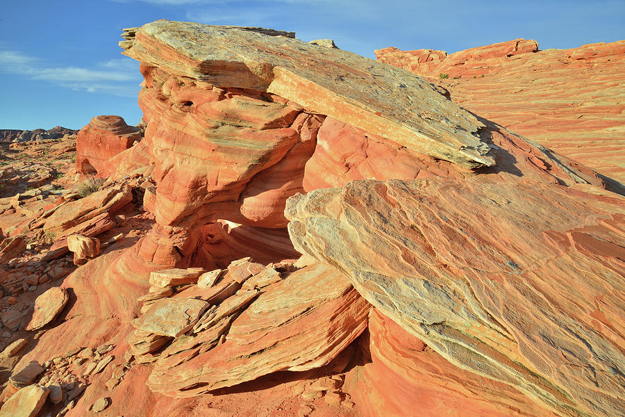 Table Tops in Valley of Fire Photograph by Ray Mathis