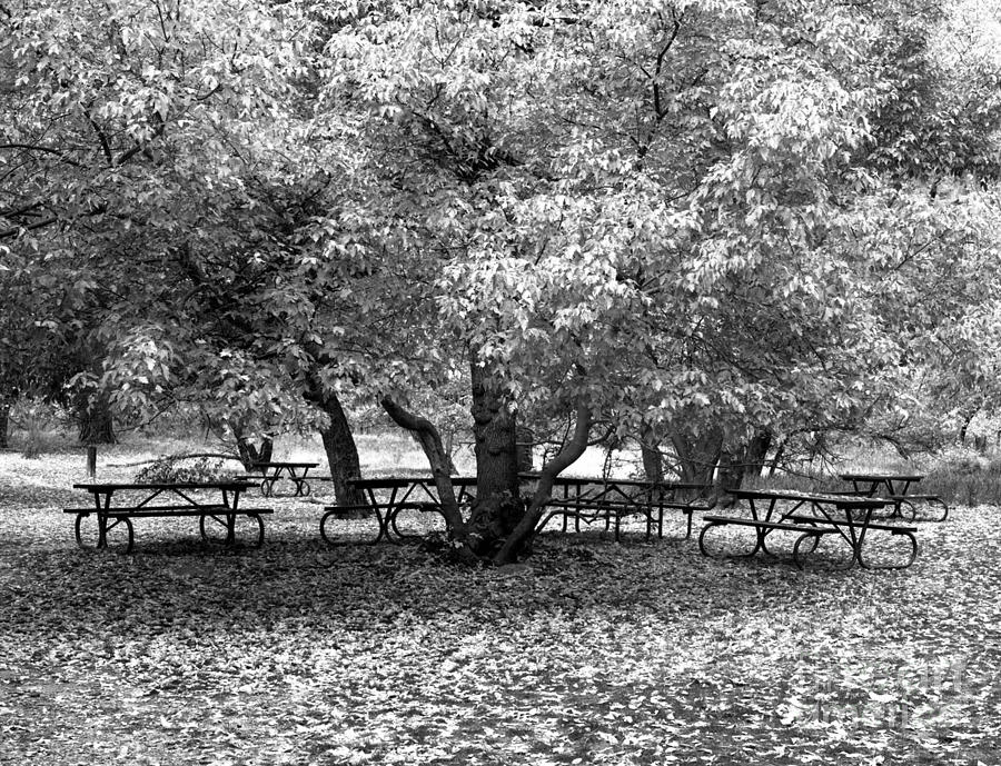 Tables And Tree Photograph by Christian Slanec