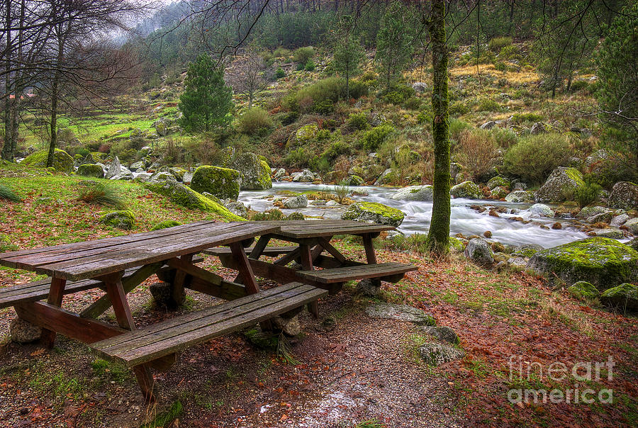 Fall Photograph - Tables by the River by Carlos Caetano