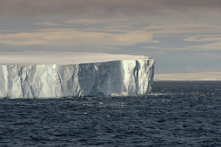 Tabular Iceberg Floating In Bransfield Strait At Sunset, Antarctica ...