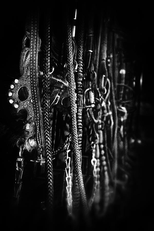 Tack on the Wall Photograph by Marnie Patchett