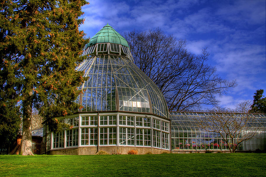 Garden Photograph - Tacoma Botanical Conservatory by David Patterson