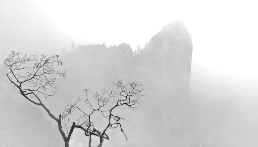 Taft Point in Mist Photograph by Josephine Buschman