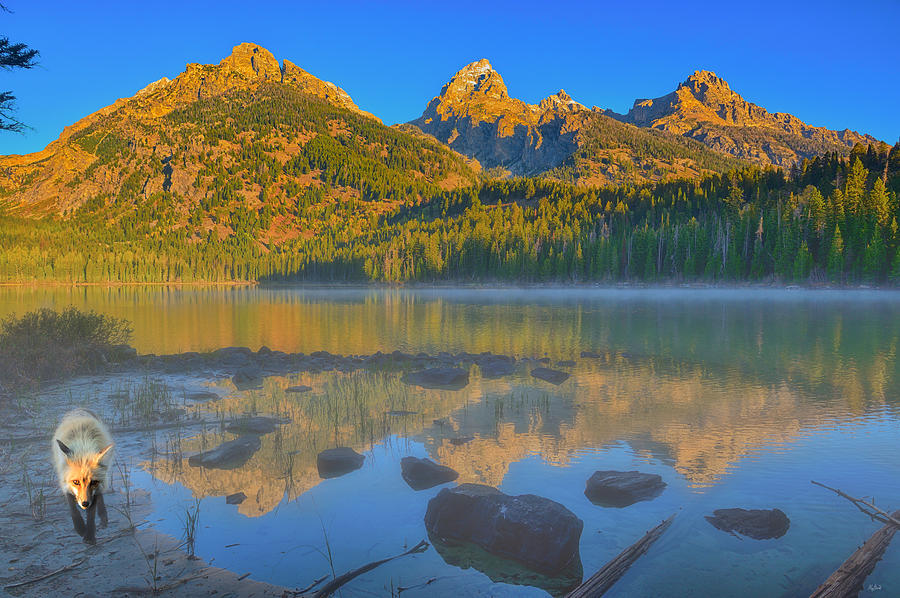 Taggart Lake Morning Photograph by Greg Norrell