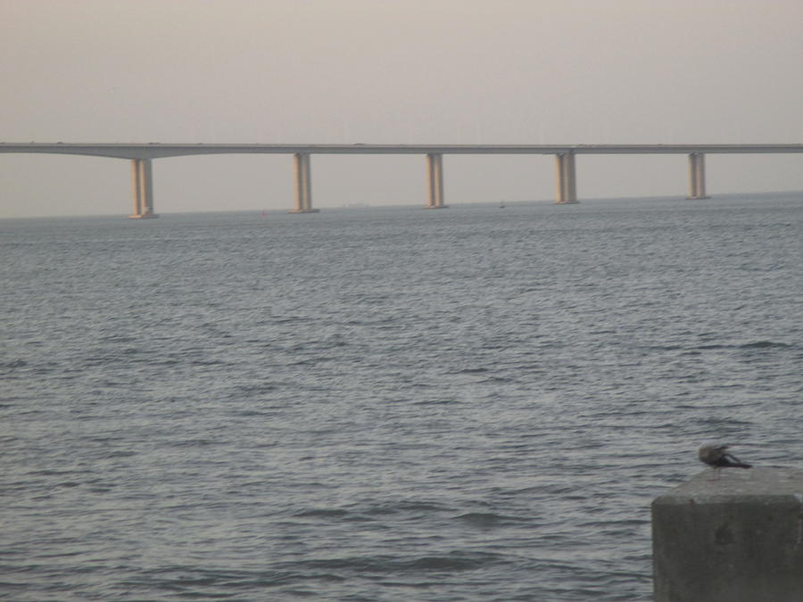 Bridge Photograph - Tagus river seen from the Park of Nations in Lisbon by Anamarija Marinovic