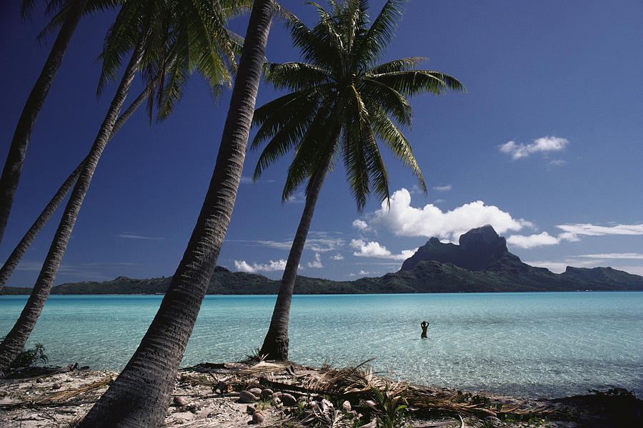 Tahiti View Photograph by David Cornwell/First Light Pictures, Inc - Printscapes