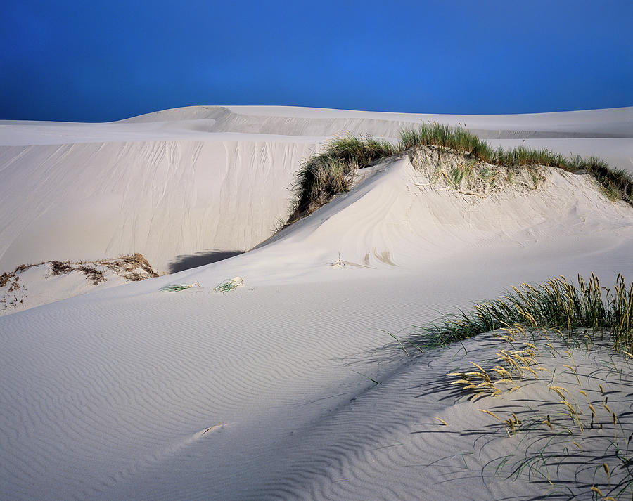 Tahkenitch Dunes Photograph by Robert Potts