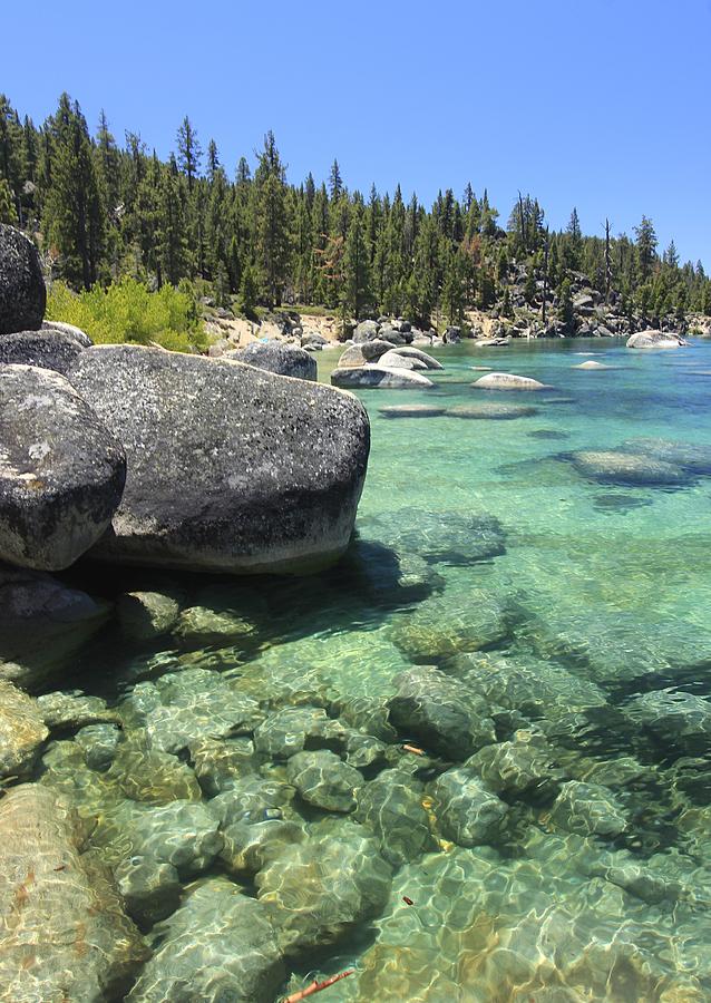 Tahoe Bliss  Photograph by Sean Sarsfield