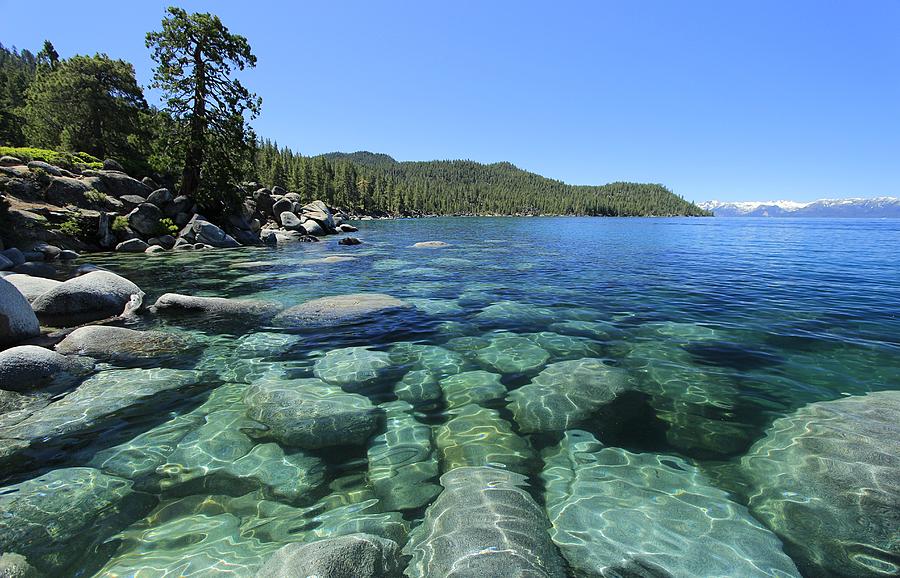 Tahoe Blue  Photograph by Sean Sarsfield