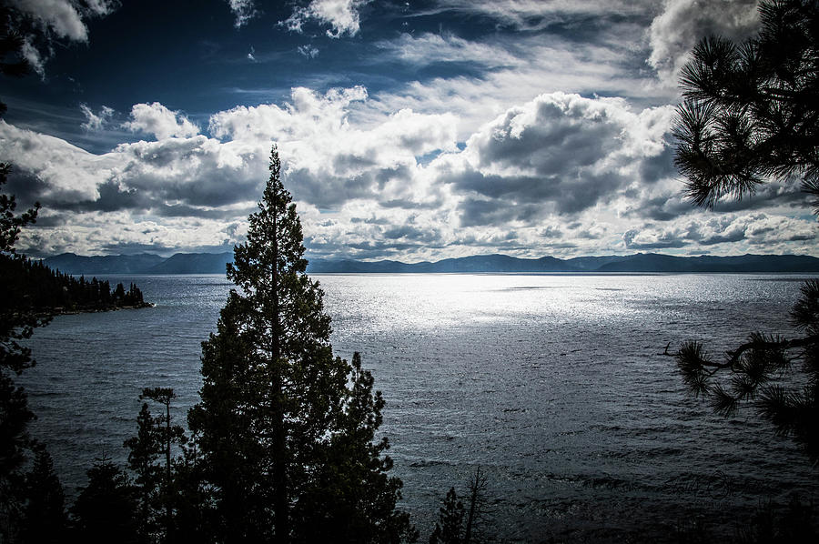 Tahoe Blue Photograph by Steph Gabler