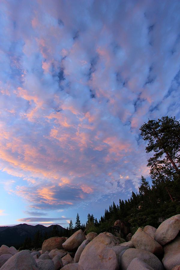 Tahoe Cool  Photograph by Sean Sarsfield