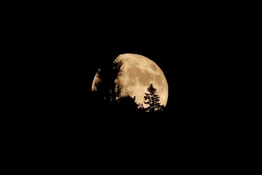 Fall Photograph - Tahoe Harvest Moon by Diane Zucker